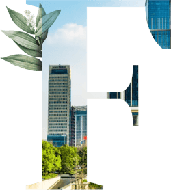 f freedo img 6667f309a1